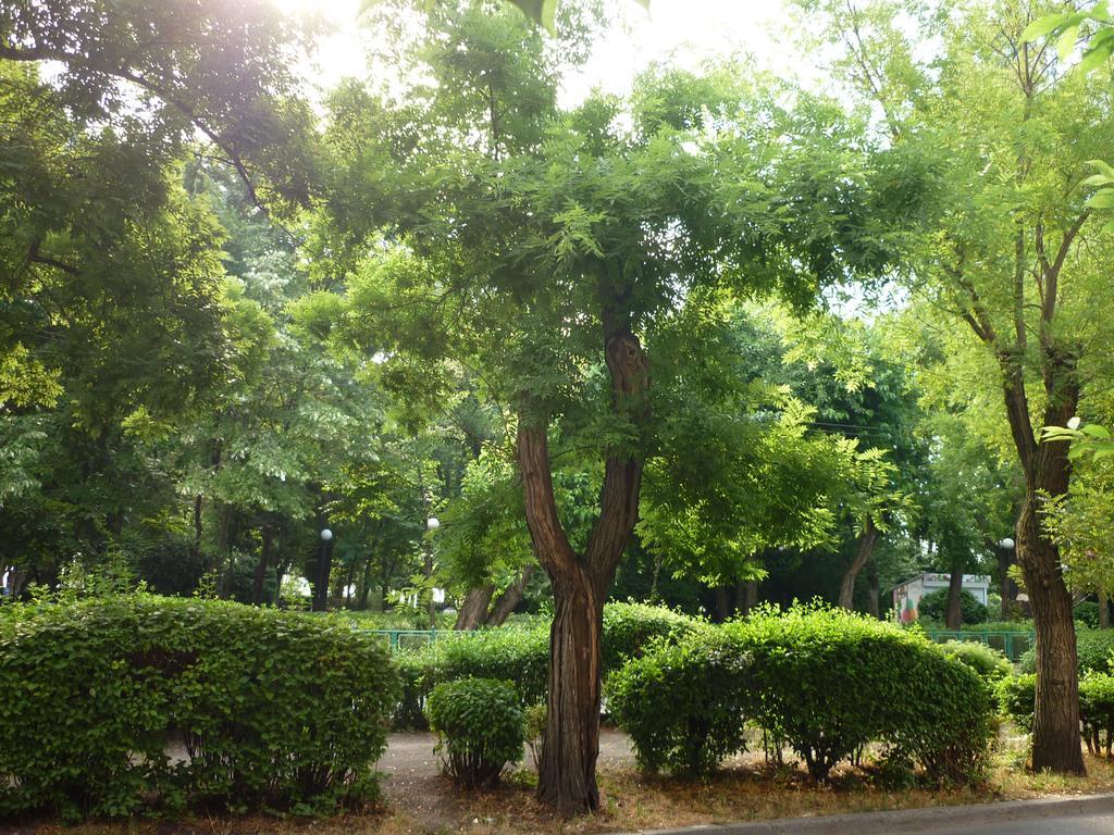 Sea Garden Plaza Apartment - Free Parking 부르가스 객실 사진